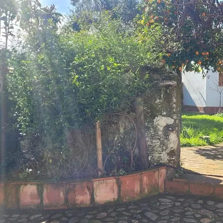 El Corral De La Higuera