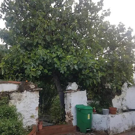 El Corral De La Higuera Campofrio