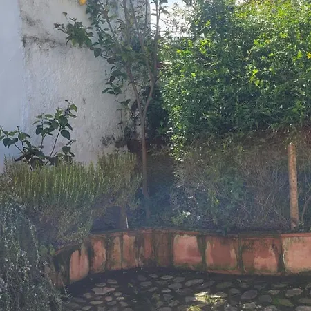 El Corral De La Higuera Holiday home